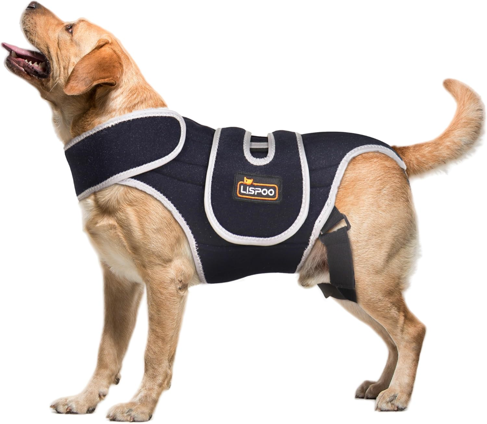 Soporte de espalda para perro para IVDD y disco deslizado, soporte de espalda para perros grandes, IVDD y soporte de hernia de disco, estabilidad espinal y alivio del dolor, XL
