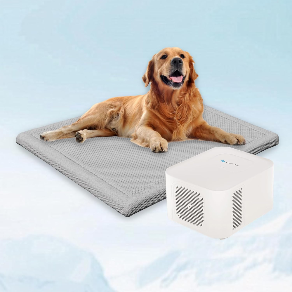 Sistema de refrigeración para mascotas para verano, alfombrilla de agua de refrigeración constante para perros y gatos, no necesita refrigeración ni gel químico